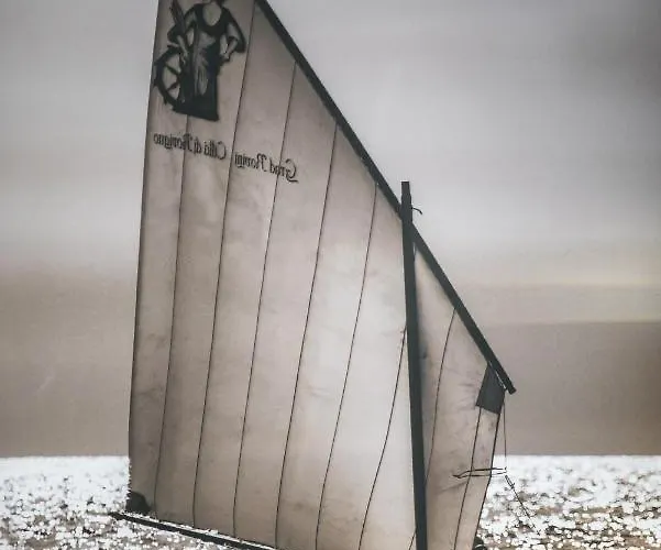 게스트하우스 5db 4*